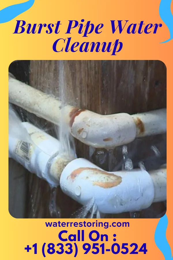 Burst Pipe Water Cleanup in Pittston, PA
