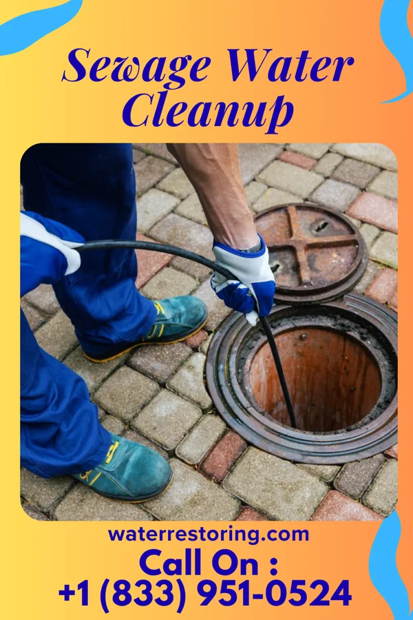 Sewage Water Cleanup in Pittston, PA
