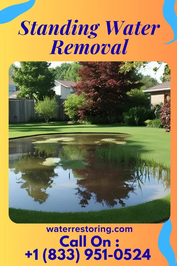 Standing Water Removal in Pittston, PA
